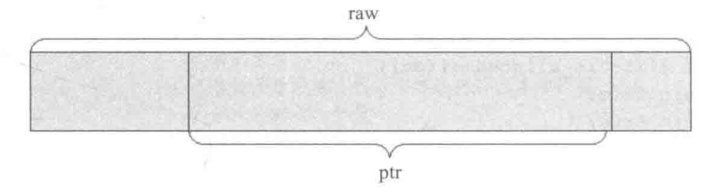 raw和ptr
